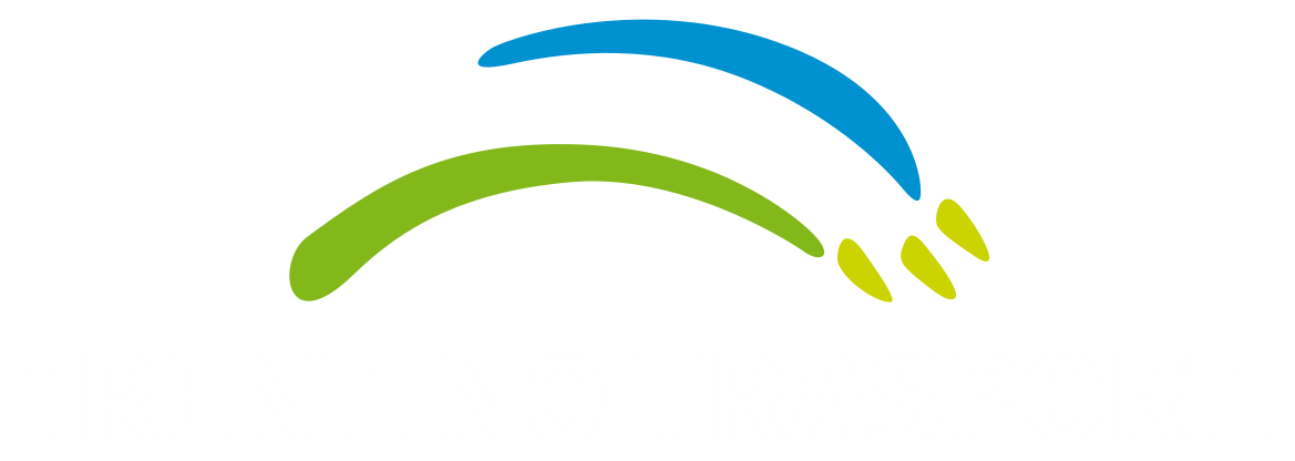 Logo footer